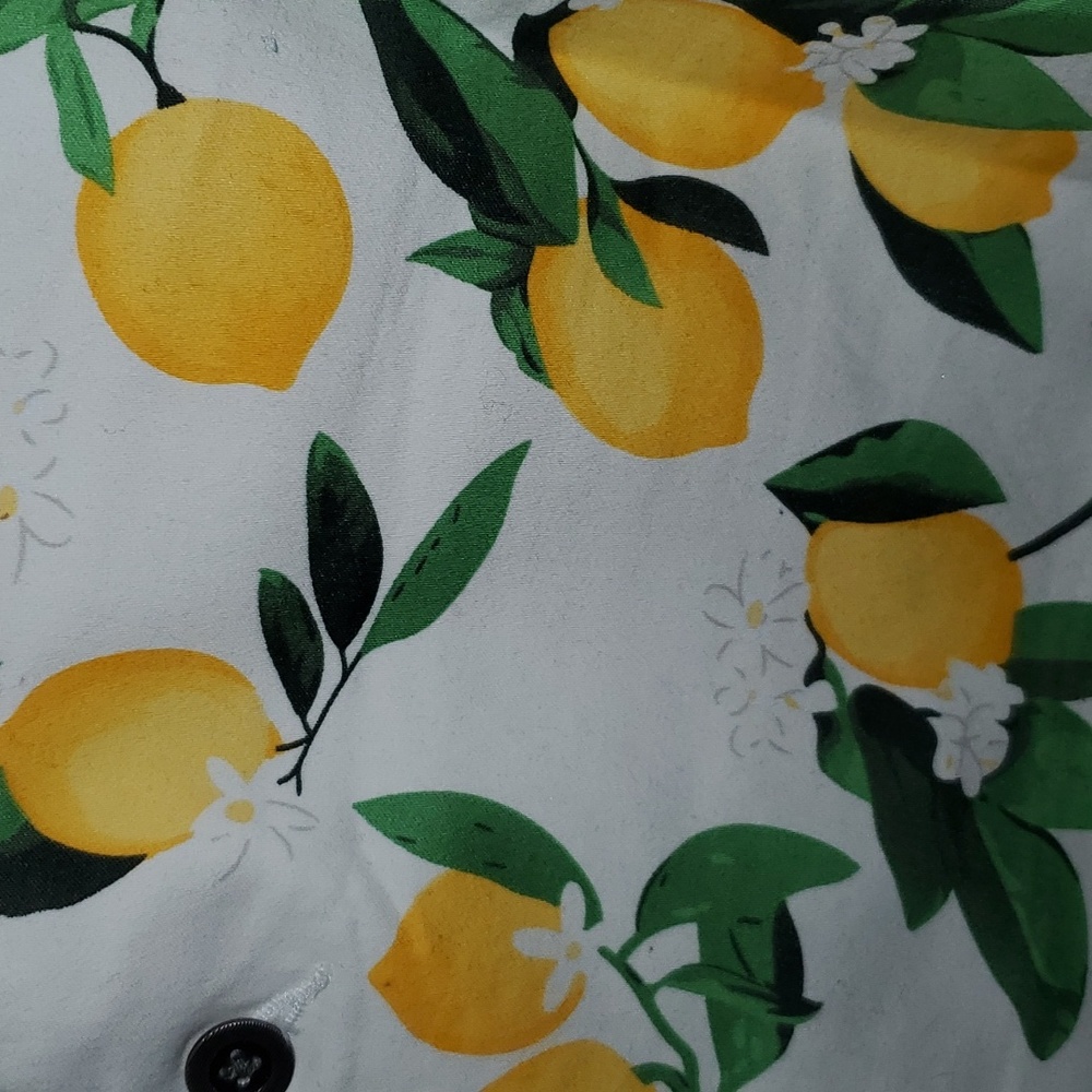 NWOT Isaac Mizrahi Bright White Lemon & White Floral Sailor Print Shorts Size 8 - Picture 15 of 16
